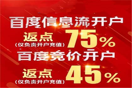 百度竞价排名案例：如何实现低成本高转化